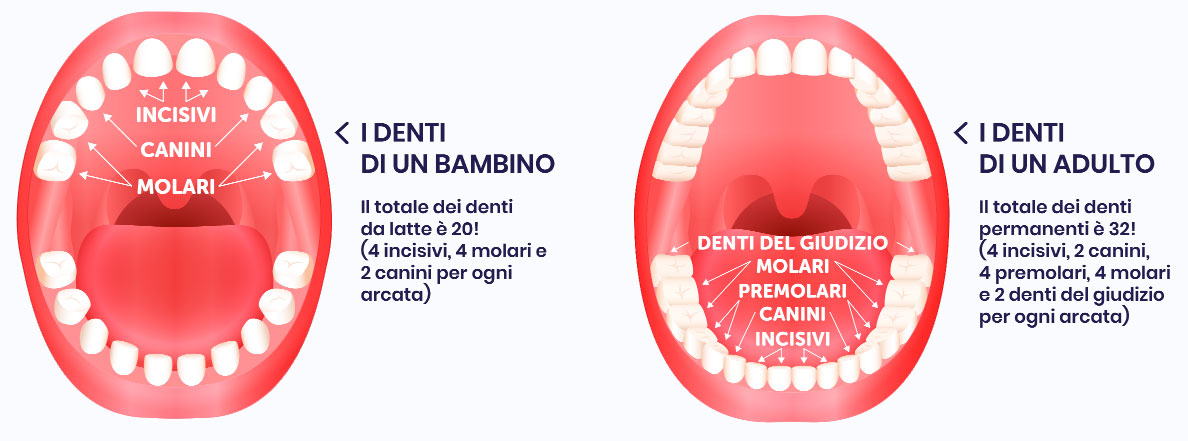 La bocca con i denti del bambino e la dentizione completa dell'adulto.